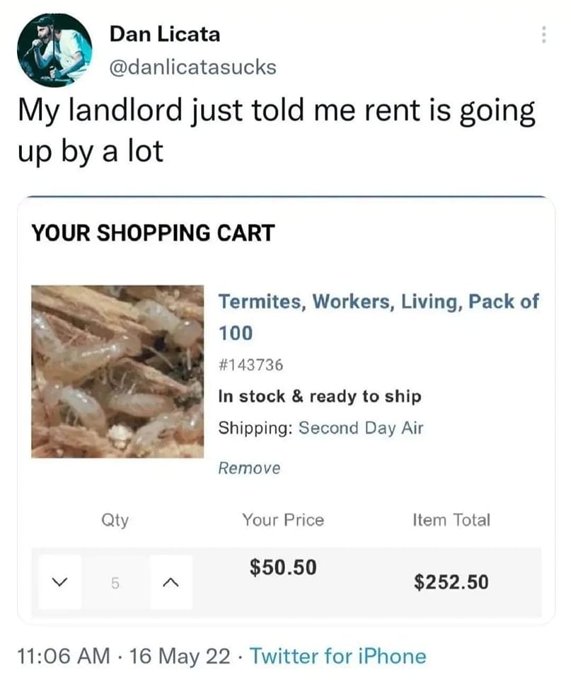 The meme is a screenshot of a fictional online shopping cart, with a single item listed: "1 x 1,000,000 bed bugs". The text at the top reads "You have 1 item in your cart". Below this, the item's description is listed, which reads "Bed Bugs - 1,000,000 - $0.00".